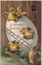 A Joyous Easter Baby Chicks 1909 RPO Postcard D59 - $2.99