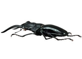Odontolabis Dalmanni Interme Handmade Beetle Model Fine Insect Figurine ... - £36.22 GBP