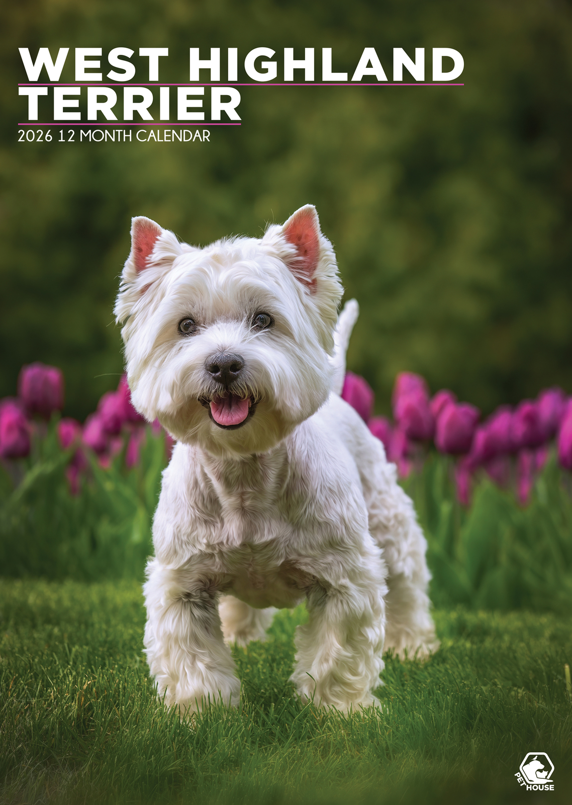 West Highland Terrier Calendar 2026 - $19.99