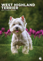 West Highland Terrier Calendar 2026 - $19.99