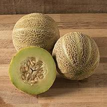 Rocky Ford Green Flesh Melon Seeds - 100 Count Seed Pack - Non-GMO - A Small Mel - £2.34 GBP