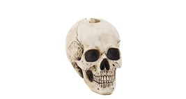 Spooky Skull Decor for Halloween - Resin - £4.81 GBP