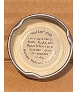 Snapple Real Fact Cap #802 *Pre-Owned w/Minor Wear*  cc1 - €8,60 EUR