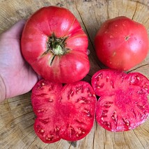 USA Seller Polish Red/Pink Beefsteak Tomato Vegetable Seeds Large Beefsteak Toma - £15.13 GBP