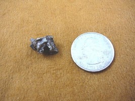 (x262-31) 4 g Campo del Cielo iron meteorite 1576 shrapnel fragments spe... - $240.15 MXN
