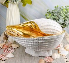 Ebros 10" L Golden Nautilus Mollusc Sea Shell Jewelry Dish Bowl Decor St... - $33.99