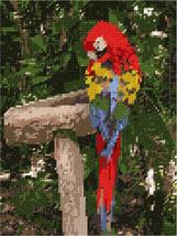 Pepita Needlepoint Canvas: Parrot in Color, 7&quot; x 9&quot; - £39.31 GBP+