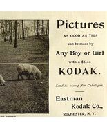 Kodak Cameras Pictures Sheep 1894 Advertisement Victorian Photography 2 ... - $366.69 MXN