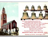 Shannon Bells and Church Cork Ireland UNP DB Postcard F22 - $7.87