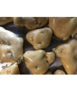 Pistachio Brittle I Freeze Dried Nut Candy I Freeze Dry Candies I Tub - $133.06 MXN