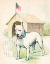 World War 1 Pit Bull Terrier Dog House American Flag Patriotic Postcard - £12.04 GBP