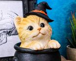 Ebros Halloween Witches&#39;s Orange Tabby in Cauldron Collectible 6&quot;H Figurine - €26,60 EUR