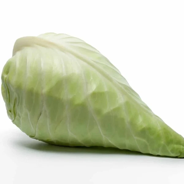 500 Hispi Sweetheart Cabbage Seeds Planting New Fresh US Shipping - $89.73 MXN