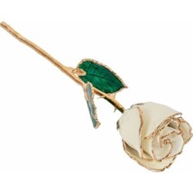 24k Gold Dipped White Lacquer Real Rose Valentine&#39;s Day Holiday Gift - £76.62 GBP