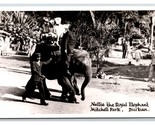 RPPC Nellie the Royal Elephant Mitchell Park Durban South Africa Postcar... - $6.88