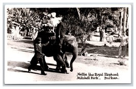 RPPC Nellie the Royal Elephant Mitchell Park Durban South Africa Postcard O16 - £5.41 GBP
