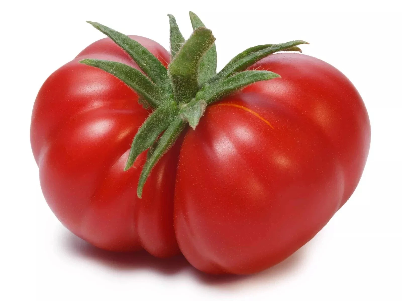 10+ BEEFSTEAK TOMATO SEEDS - LARGE - HEIRLOOM - NON GMO - ORGANIC ------... - $3.20