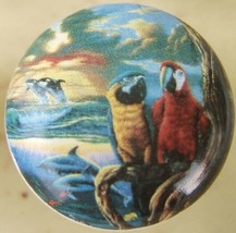 Cabinet Knobs W/ Parrots #2 @Pretty@ Tropical BIRD - $4.46