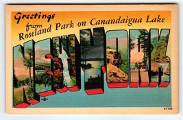 Greetings From Roseland Park On Canandaigua Lake New York Large Letter Postcard - £46.47 GBP