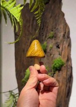 Golden Phoebe Mushroom Handmade Wood Forest Fungi Collectible Nature Ins... - $169.56 CAD