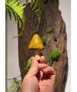 Golden Phoebe Mushroom Handmade Wood Forest Fungi Collectible Nature Ins... - $169.56 CAD