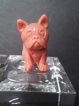 Fine Japanese Momo Coral carving of a seated Pug or Bulldog - £432.22 GBP