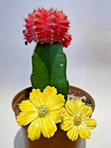 Keren Kopal Pair metal Yellow Anemone Hand made Flower Austrian Crystals - $43.20