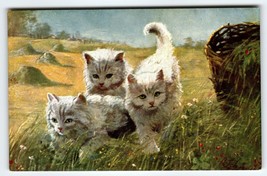 Charming Cats Three White Fluffy Kittens Artist Signed SCHROPLER Germany Antique - $18.45