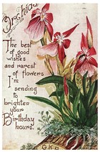 Vintage 1913 Birthday Greetings Postcard w/ Orchids - £7.71 GBP