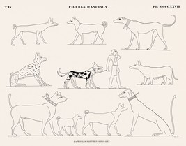 11400.Decor Poster.Home room Wall art.Egyptian Pharaoh treasures.Exotic animals - £12.94 GBP+