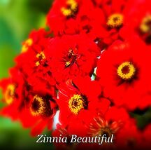 Item image 1 image 1