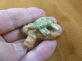 (Y-TUR-LA-108) baby GREEN serpentine Turtle FIGURINE gemstone branch carving - £7.50 GBP