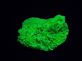 1.8 Gram  Meta -autunite Crystal, Fluorescent Uranium Ore - $35.00