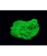 1.8 Gram  Meta -autunite Crystal, Fluorescent Uranium Ore - $35.00