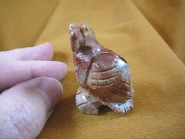 (y-bir-pa-8) PARROT Macaw bird red tan gemstone SOAPSTONE carving I love... - $8.59
