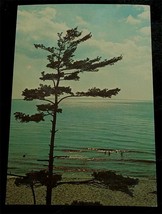 Vintage Color Photo Postcard, Greetings From Lake Michigan, VG COND - £2.32 GBP