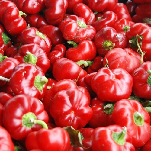 Sweet Pimento L Pepper Seeds 25+ MILD Bell  - $4.47