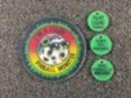 Play Bally Pinball Elvira And The Party Monsters 1988 Plastic Promo Keyc... - $8.90