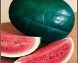Florida Giant Watermelon Seeds 25 Ct Fruit Melon Heirloom Non-Gmo - $8.99