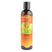 Bio Groom Desert Agave Blossom Shampoo 1ea/8 oz - £17.37 GBP