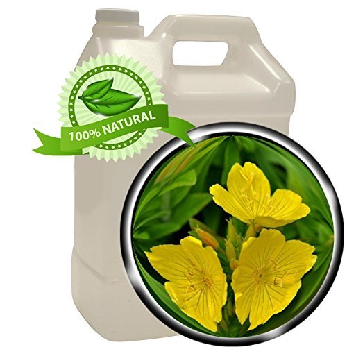 Evening Primrose Oil - 1 gallon (128 oz) - Wildcrafted, Cold-pressed (No solvent