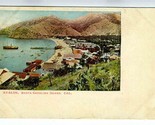 Avalon Santa Catalina Island California Undivided Back Postcard - £9.52 GBP