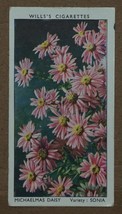 Vintage Wills Cigarette Cards Garden Flowers No # 30 Number x1 b3 - £1.37 GBP