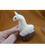 (TNE-LLA-642A) little white baby Llama farm TAGUA NUT nuts palm figurine - $31.99