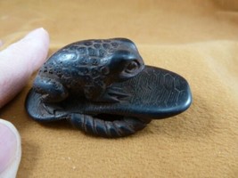 TNE-FRO-2) brown FROG on leaf amphibian TAGUA NUT Netsuke Figurine carving frogs - £22.41 GBP