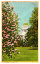 State Capital View From Park Sacramento California Linen Postcard - £3.90 GBP