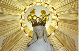 Item image 1 image 1