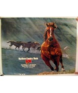 Hank Williams Jr. Merle Haggard Ricky Skaggs Ronnie Milsap Poster Jr - $90.32