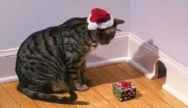 Meowy Christmas - Cat Fridge Magnet #9 - £14.34 GBP