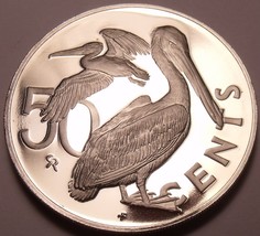 Cameo Proof British Virgin Island 1973 50 Cents~1st Year~Brown Pelican~Free Ship - £7.66 GBP